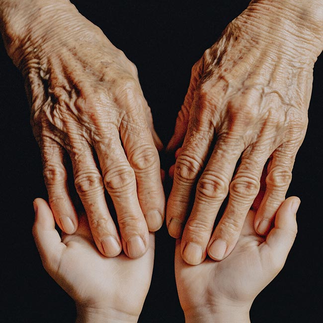 Mains âgées posées sur les mains d’un enfant illustrant la transmission transgénérationnelle